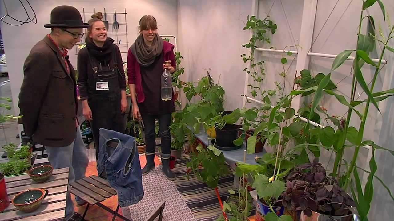 Årets trädgårdstrender