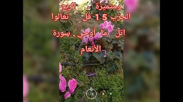 قراءة جميلة جدا  للربع الرابع من الحزب 15 قل تعالوا اتل ما... سورة الأنعام بقراءة الشيخ  محمد نعمان