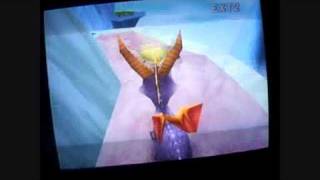 Spyro 1: ANIMAL GLITCH