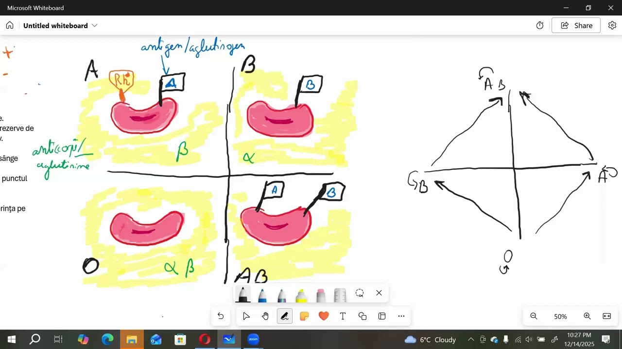 Rezolvare problema sange BAC XI-XII