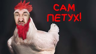 видео: ЭТОТ ПЕТУХ СЧИТАЕТ СЕБЯ ЧЕЛОВЕКОМ картинка: ЭТОТ ПЕТУХ СЧИТАЕТ СЕБЯ ЧЕЛОВЕКОМ