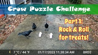 Crow Puzzle Challenges - Part 1