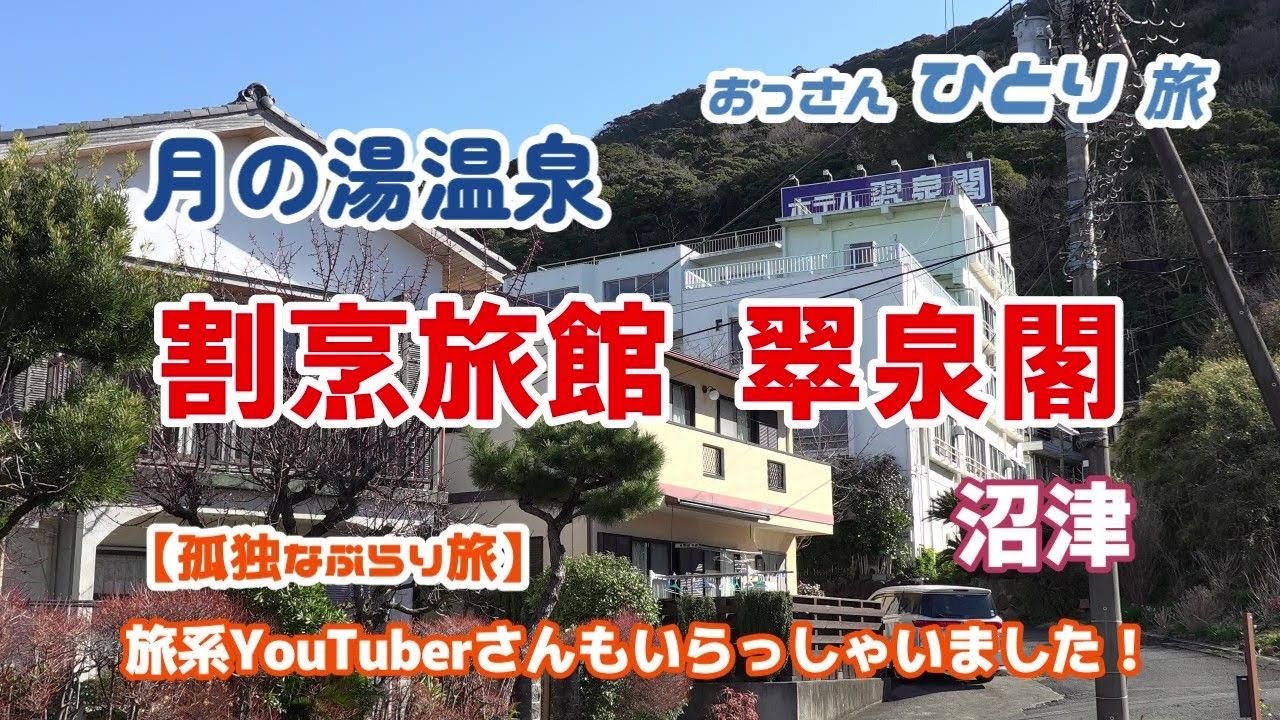 【静岡】沼津の割烹旅館に泊まって【孤独なぶらり旅】をしている人に偶然会って美味しい割烹料理を食って濁り湯の温泉入って酒飲んで寝る【月の湯温泉】