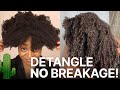 How To DETANGLE DRY DUSTY 4C Hair After A Week Of Wash and Gos - NO BREAKAGE!!!