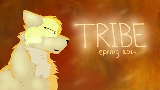 The Tribe Casting Call! Closed