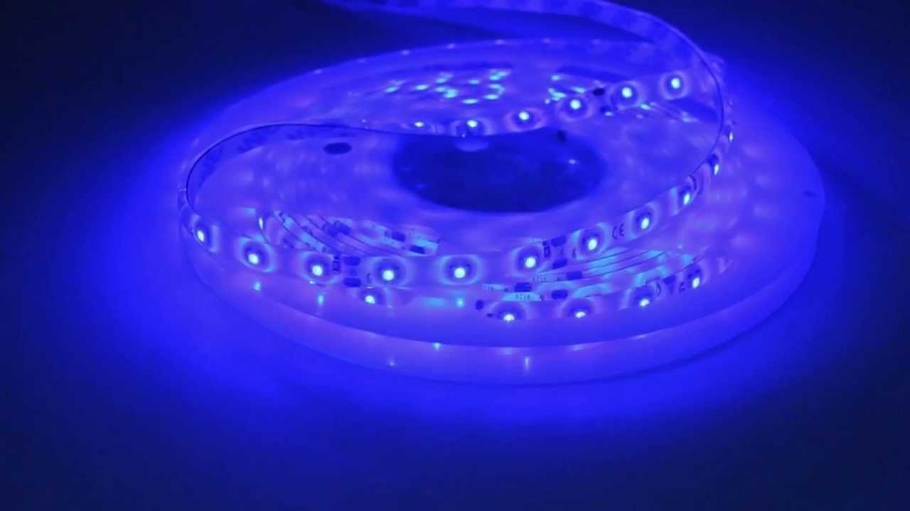 Bandeau led bleu équipé de 300 leds SMD 3528 basse consommation YouTube