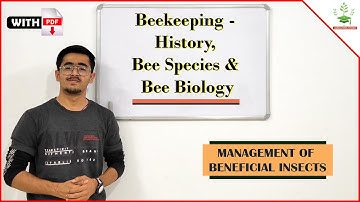 Beekeeping - History, Bee species And Bee Biology
