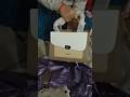 unboxing of bag #fashion  from Myntra #unboxing  #haul #dailyshorts #trending #youtubeshorts #shorts