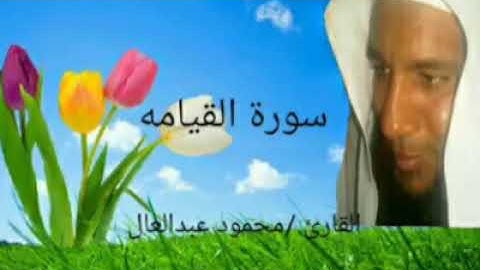 سورة القيامة القارئ محمود عبد العال أحمد