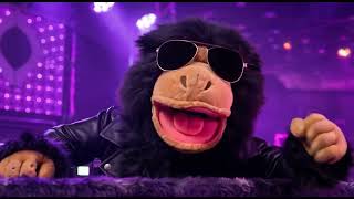 Monkey Dance 