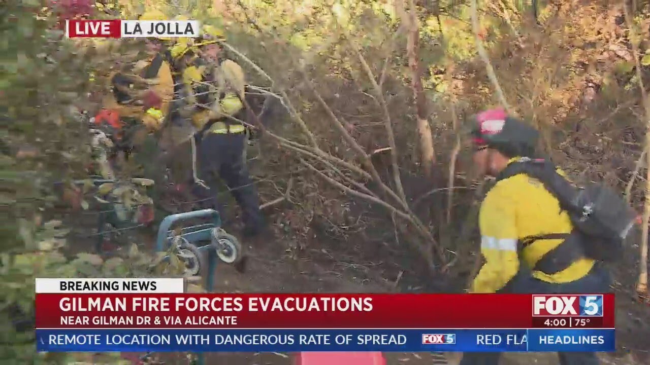 Evacuations lifted due to Gilman Fire in La Jolla