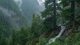 99% Instantly Deep Sleep With Calming Rain Sounds | Natural Rain in forest | Stress Relief