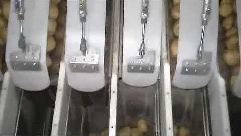 Sorma P14-126 Multihead weigher