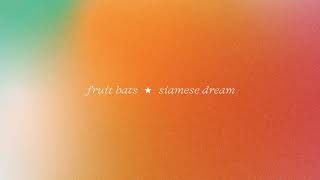 Video thumbnail of "Fruit Bats - Today (Official Audio)"