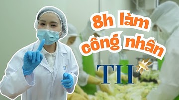 Trải nghiệm 8h làm công nhân tại nhà máy thực phẩm TH true Food | TH Hạnh Phúc Đích Thực