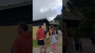 Llanos de Penagos, Cantabria, campamento Garma,6/7/25@diegopradosantamarta
