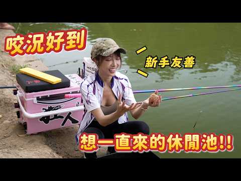 【釣魚女神系】咬況好到想一直來的休閒池 #新竹坪林休閒魚池 | 台湾の女性釣り Taiwan girl fishing 대만 여성 낚시