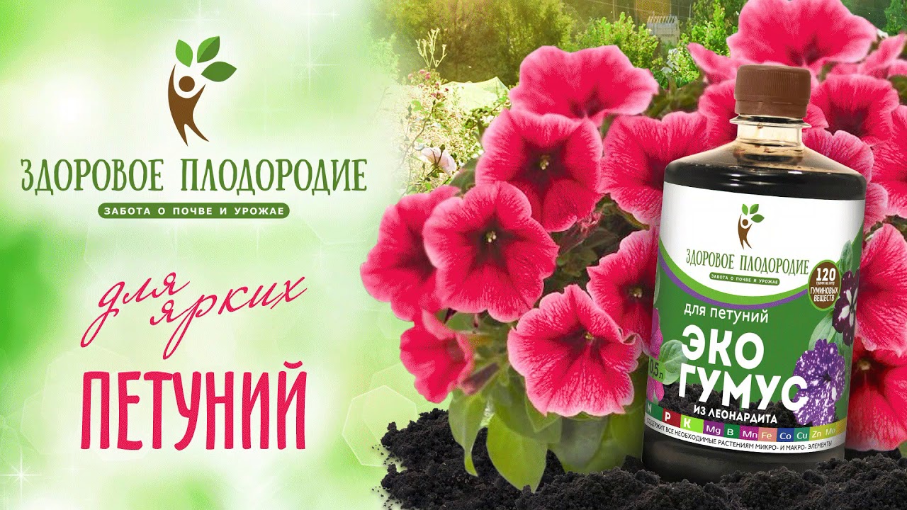 Плодородие 76 Интернет Магазин Ярославль