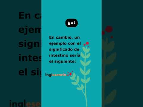 Gut: ¿Qué significa? #shorts - YouTube