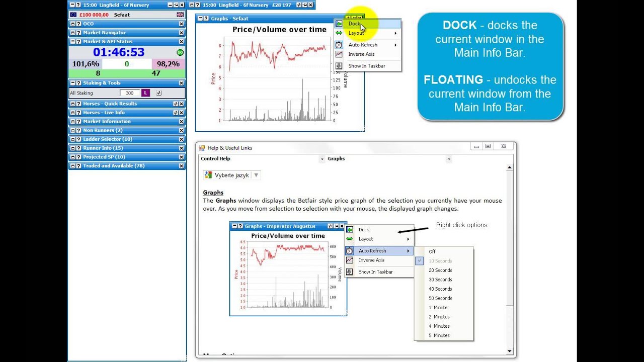 2 Using the application