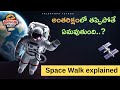 Can Humans REALLY Survive in Space Without a Suit? | Space Walk Explained | Telescope Telugu