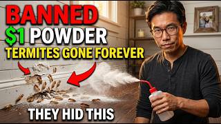 $1 Powder DESTROYED Termites INSIDE Walls Forever. No Drilling. Pest Companies PANICKED