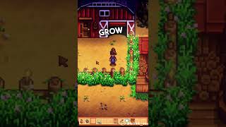 Infinite Grass in Stardew Valley #shorts #stardewvalley #stardew