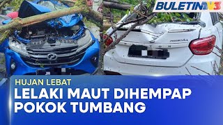 POKOK TUMBANG | Lelaki Maut, Wanita Cedera Dihempap Pokok Tumbang (BU) POKOK TUMBANG | Lelaki Maut, Wanita Cedera Dihempap Pokok Tumbang (BU)