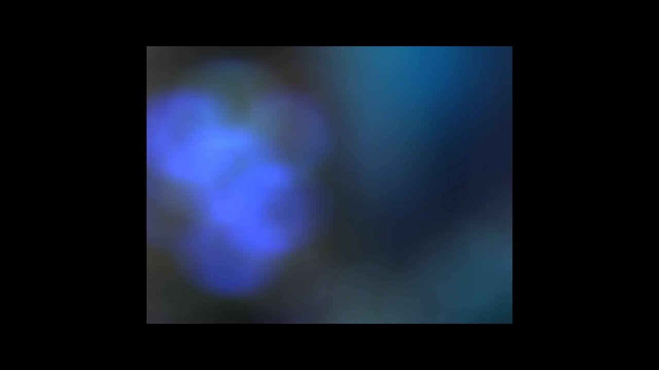 𝒾𝒸𝑒 𝒸𝓇𝑒𝒶𝓂 𝓉𝓇𝓊𝒸𝓀 𝒹𝓊𝓇𝒾𝓃𝑔 𝒶𝓃 𝑒𝒶𝓇𝓉𝒽𝓆𝓊𝒶𝓀𝑒 YouTube