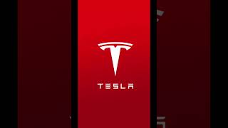 Would you invest in Tesla's IPO ? #ElonMusk #Tesla #SpaceX #Innovation #AI #Technology #Shorts