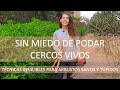 TODO SOBRE CERCOS VIVOS: Poda y manutención de mioporo