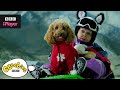 Waffle the wonder dog song  friends and family  cbeebies