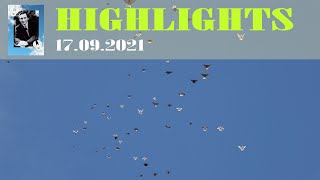 HIGHLIGHTS Тренировка 17.09.2021