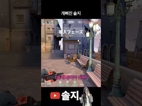 개 삐진 솔지