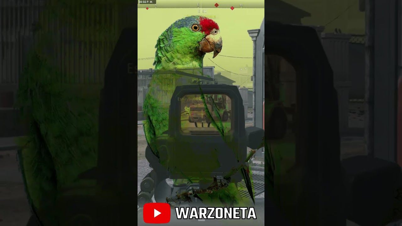 🐱‍👤13 Kills Bug Glitch 🎮 