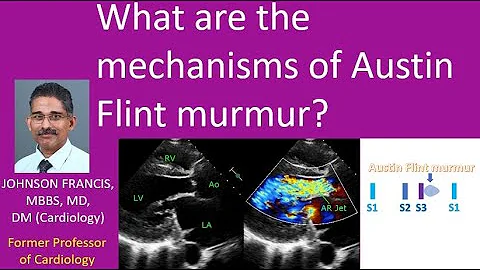 What are the mechanisms of Austin Flint murmur?