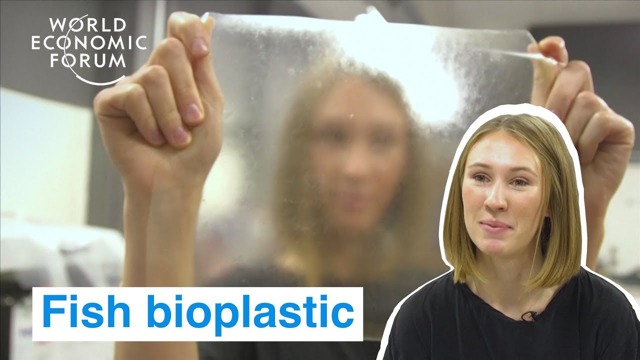 A UK student created a bioplastic from fish that breaks down in 6 weeks