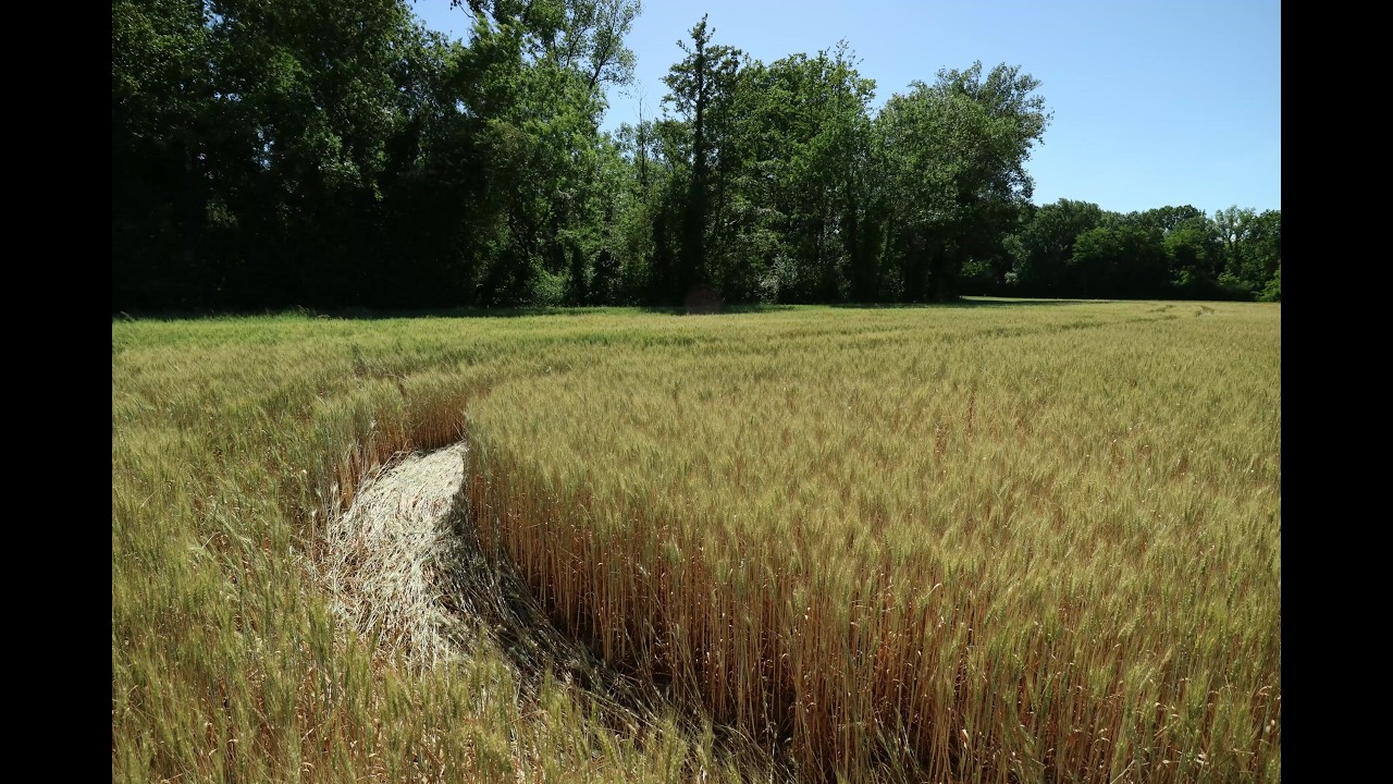 Halage Eté (Diaporama Horizontal 171/480)