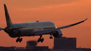 Frankfurt Plane Spotting Golden Hours