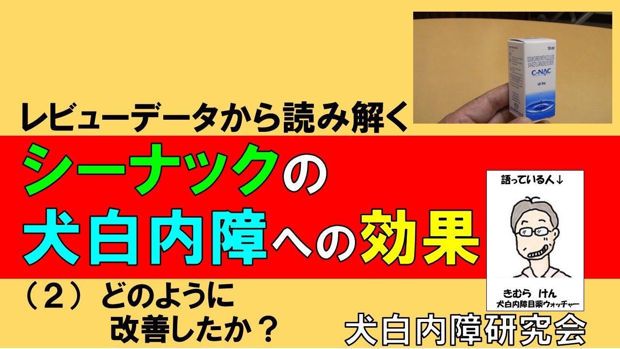 レビューデータから読み解く シーナックの犬白内障への効果 2 どのように改善したか Youtube レビューデータから読み解く シーナックの犬白内障への効果 2 どのように改善したか Youtube