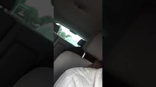 Lulu howling at emergency sirens, excuse the language