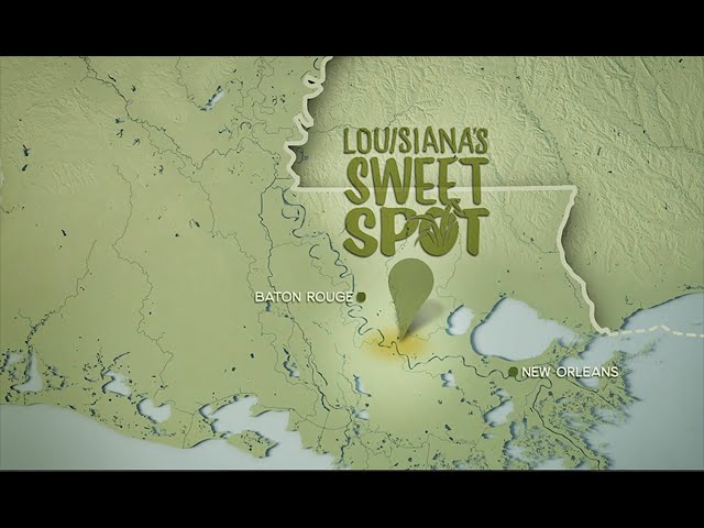 Visit Louisiana's Sweet Spot