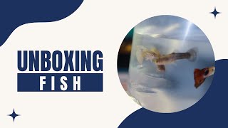 New Fish Unboxing