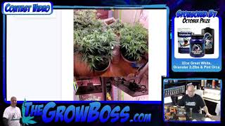 Garden Review- weekly posted pics review 10 18 2021