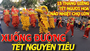 Hàng vạn NGƯỜI HOA XUỐNG ĐƯỜNG tận mắt chứng kiến LỄ HỘI TẾT NGUYÊN TIÊU 2022 diễu hành khắp CHỢ LỚN