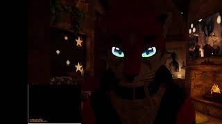 A furry Fox in VR Chat on Omegle #4