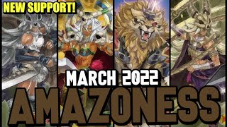 Amazoness | Yu-Gi-Oh! EDOPro Replays   Decklist (March 2022)