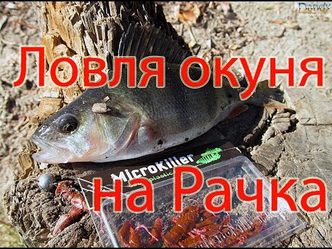 ловля зимой на силиконового рака