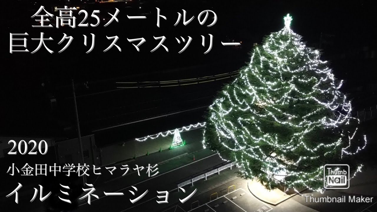 高さ25メートルの巨大クリスマスツリー 小金田中学校ヒマラヤ杉イルミネーション Djiマビックミニ空撮 Mavic Mini Youtube