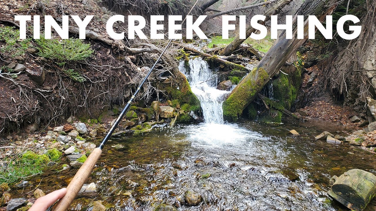 Fishing Two Tiny Creeks in Utah (Tenkara Fly Fishing) 
